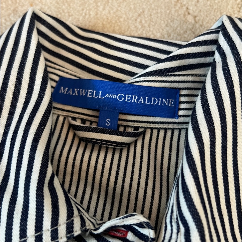 MAXWELL AND GERALDINE ERIN SHIFT DRESS Small NWT - Picture 3 of 7